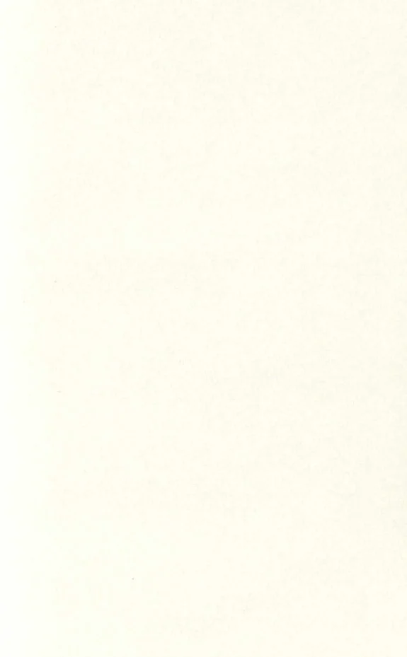 Seite 275